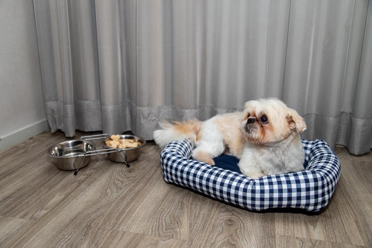 Radisson Rio De Janeiro Barra Otel Dış mekan fotoğraf A dog in a dog bed